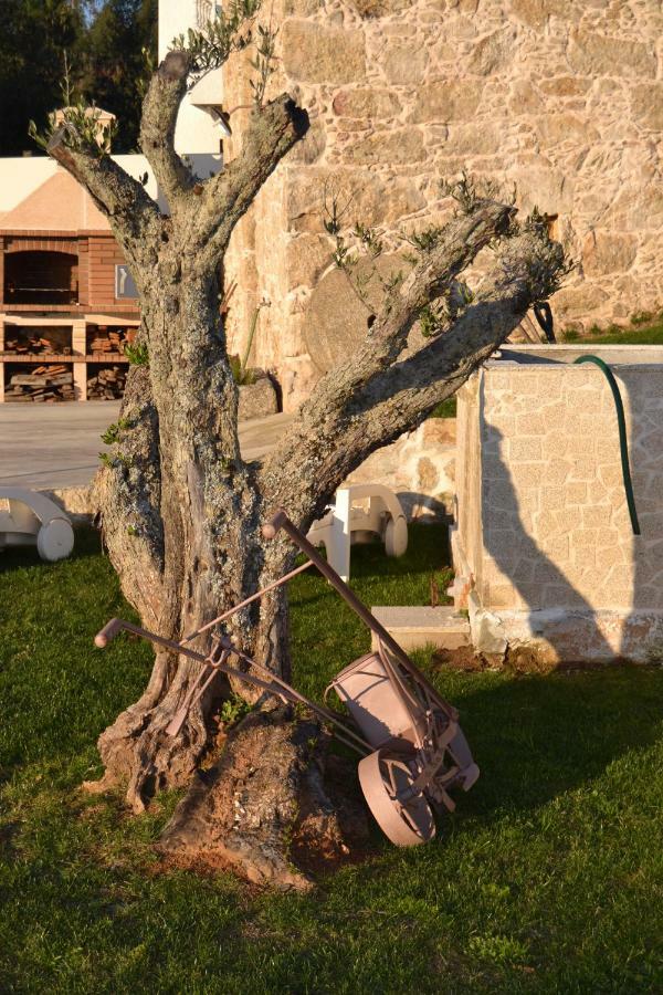 Casa Da Trapa Villa Oliveira de Azemeis Exteriör bild